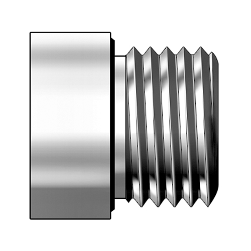 Blanking Plugs for Port with ED-ring (Metric Parallel Thread) 제품 이미지